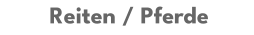 Reiten / Pferde
